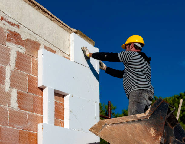 Best Insulation Replacement Services  in Campbell, MO