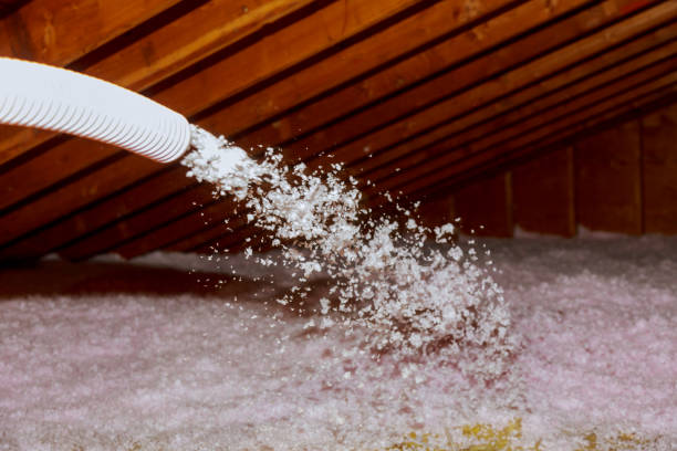 Best Professional Insulation Contractor  in Campbell, MO