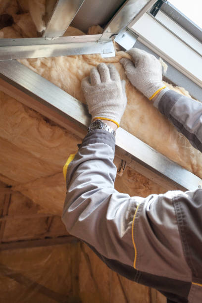 Best Soundproof Insulation Installation  in Campbell, MO