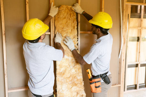 Best Insulation Inspection Services  in Campbell, MO