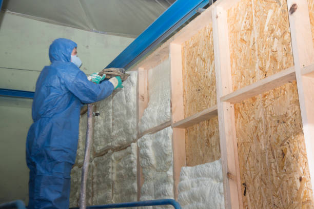 Best Attic Insulation Installation  in Campbell, MO
