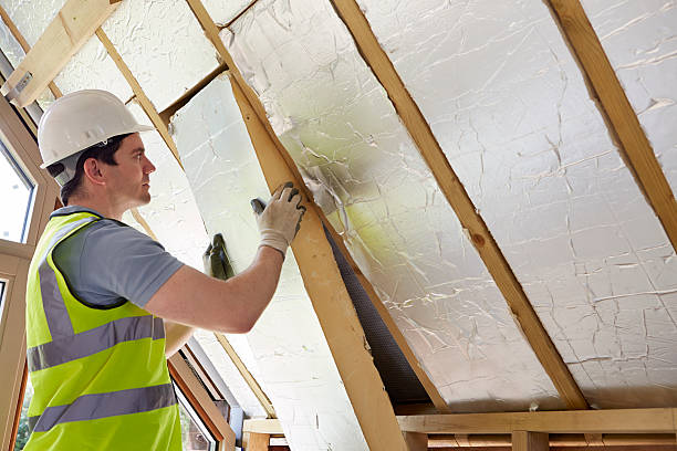Best Local Insulation Services  in Campbell, MO