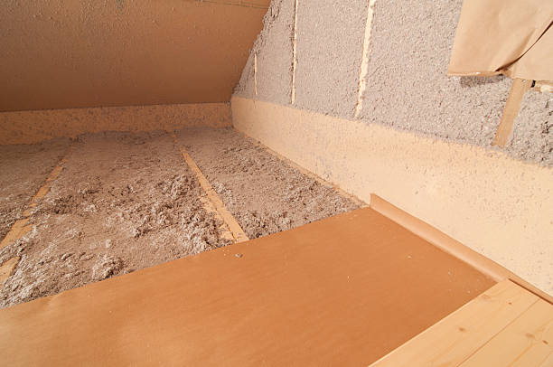 Best Insulation Inspection Services  in Campbell, MO