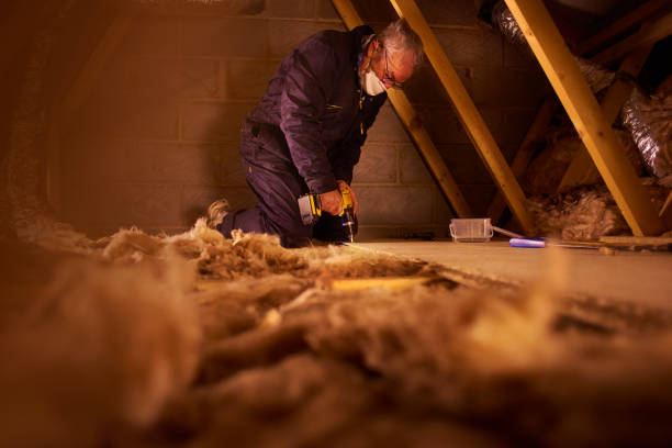 Best Spray Foam Insulation  in Campbell, MO